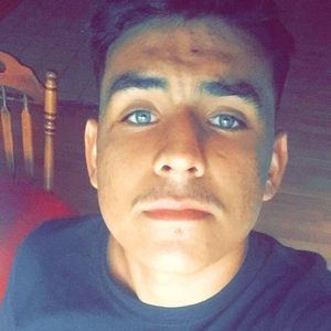 Meet your Posher, Gilbert